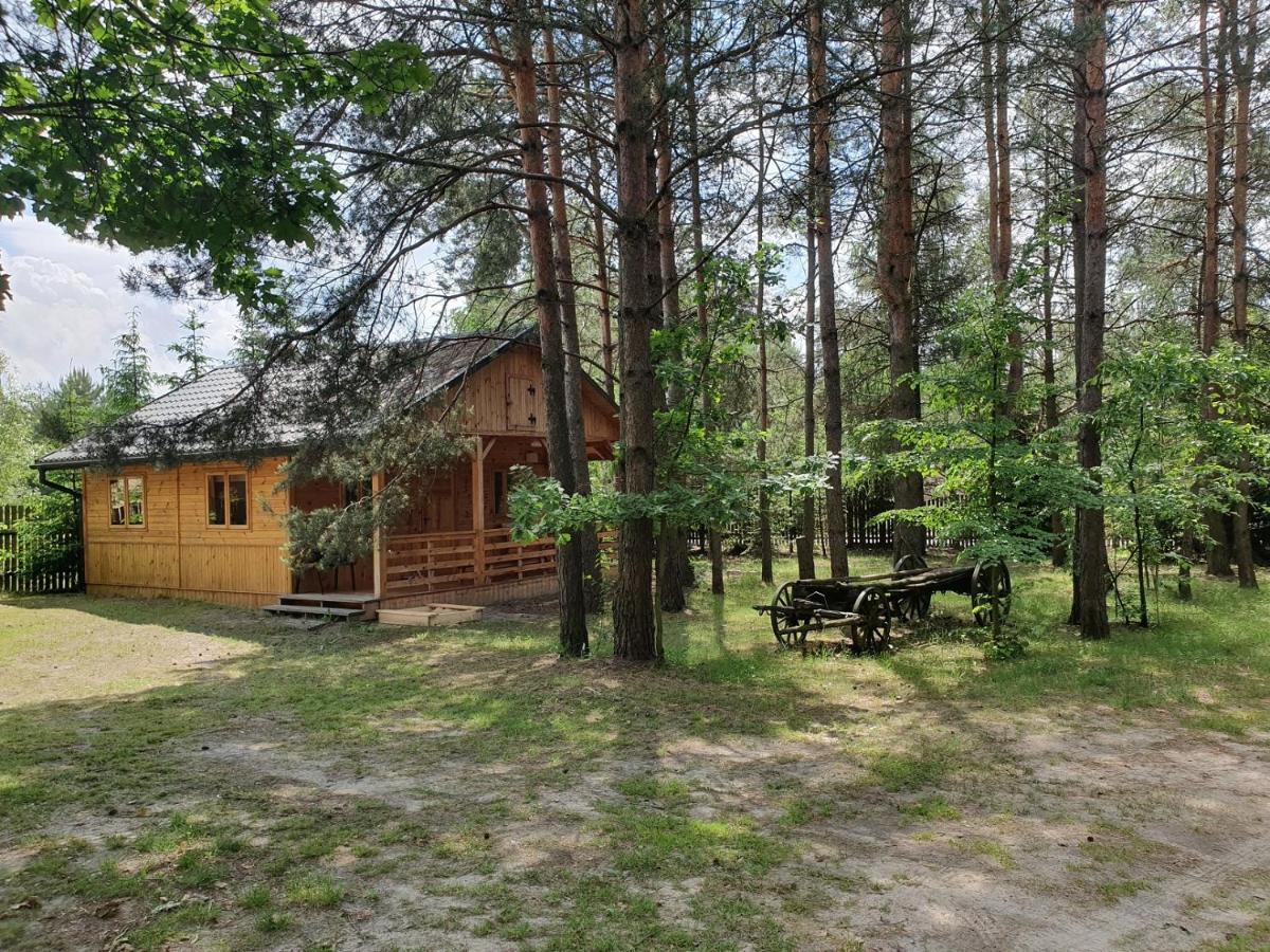 Roztocze U Aleksa Susiec - Jacuzii , Goraca Balia!!! Villa Exteriör bild