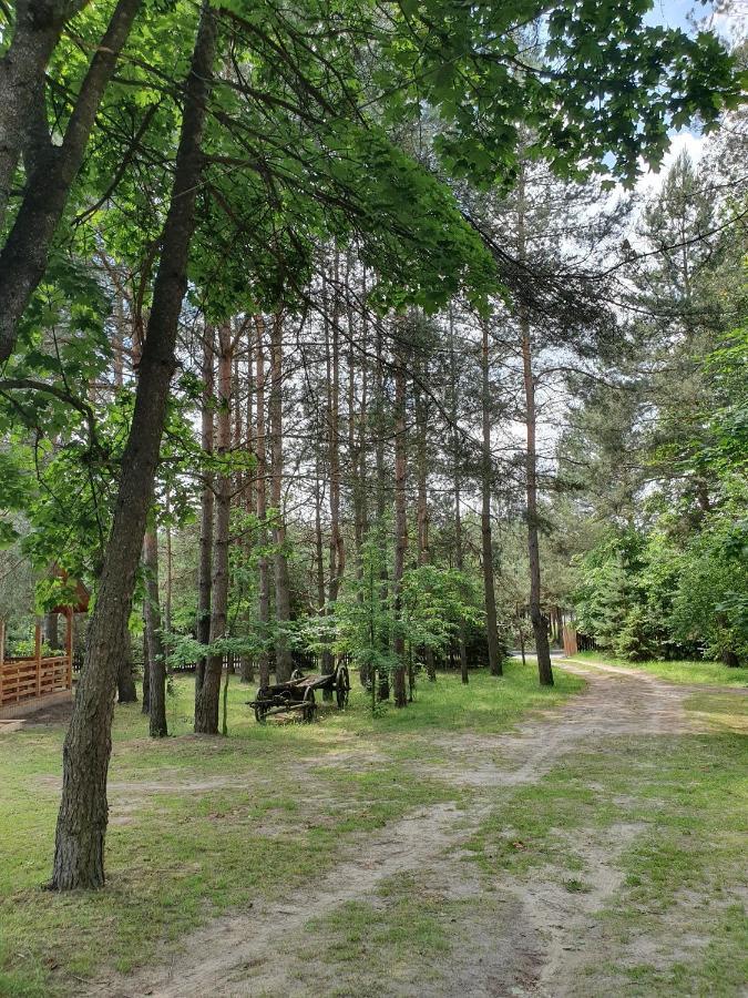 Roztocze U Aleksa Susiec - Jacuzii , Goraca Balia!!! Villa Exteriör bild